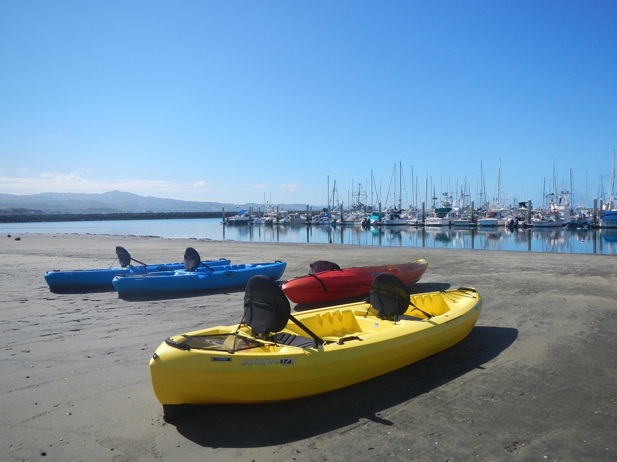 Watery Adventures On The Coastside Visit Half Moon Bay