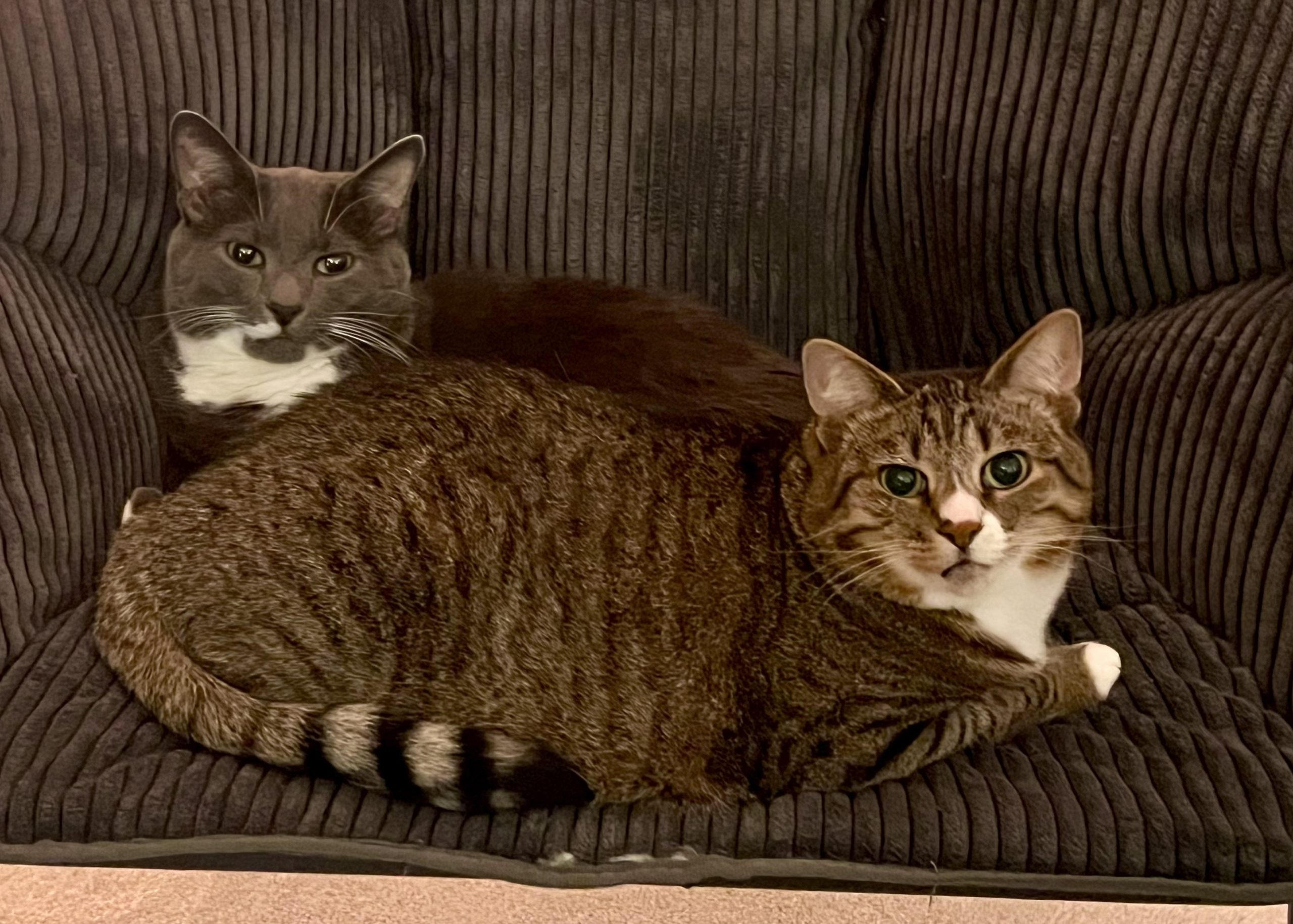 Weekend Open Thread August 2 3 2025 Ask A Manager