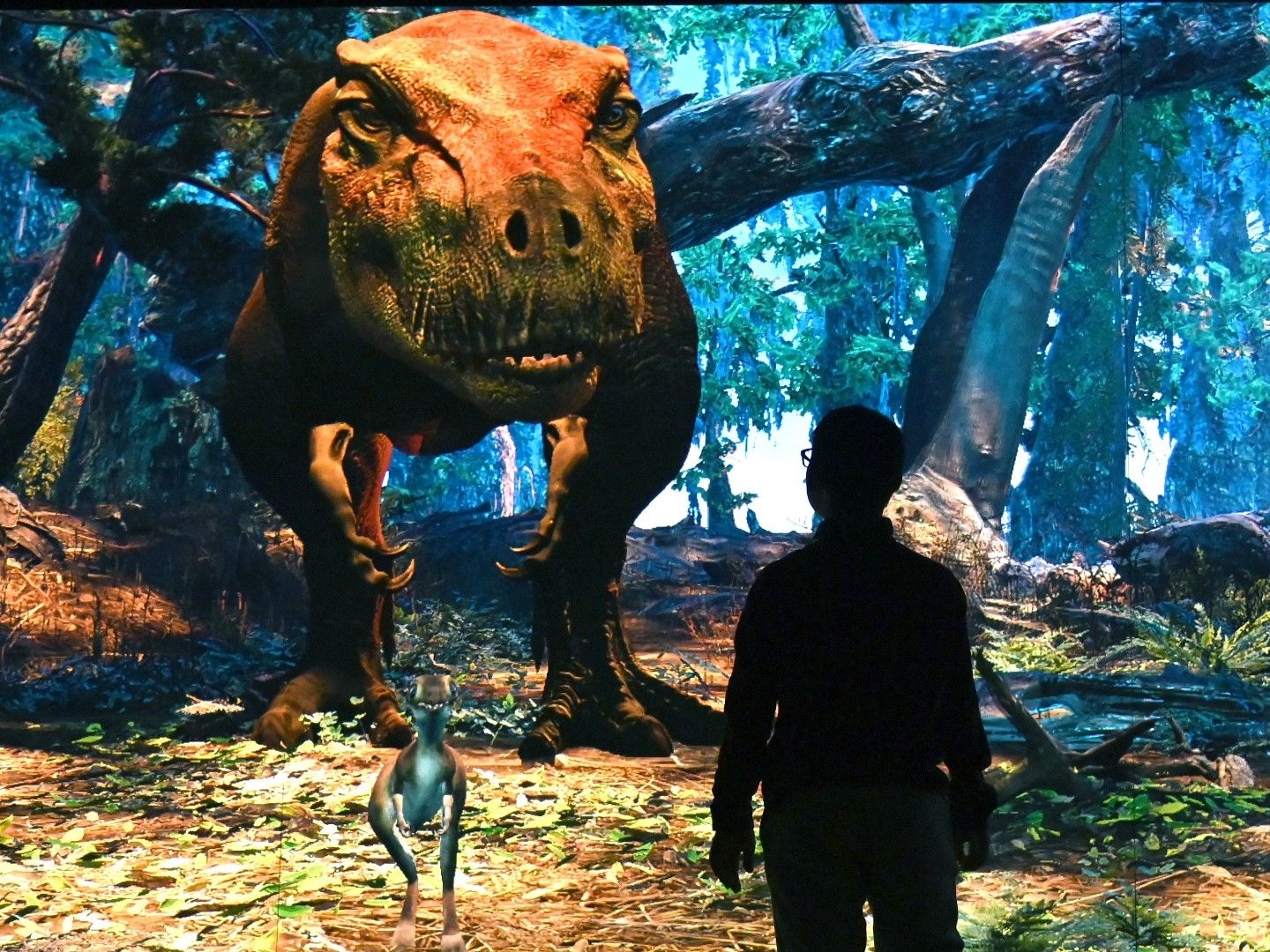 Why Don t We Have Many Giant Animals Anymore Live Science