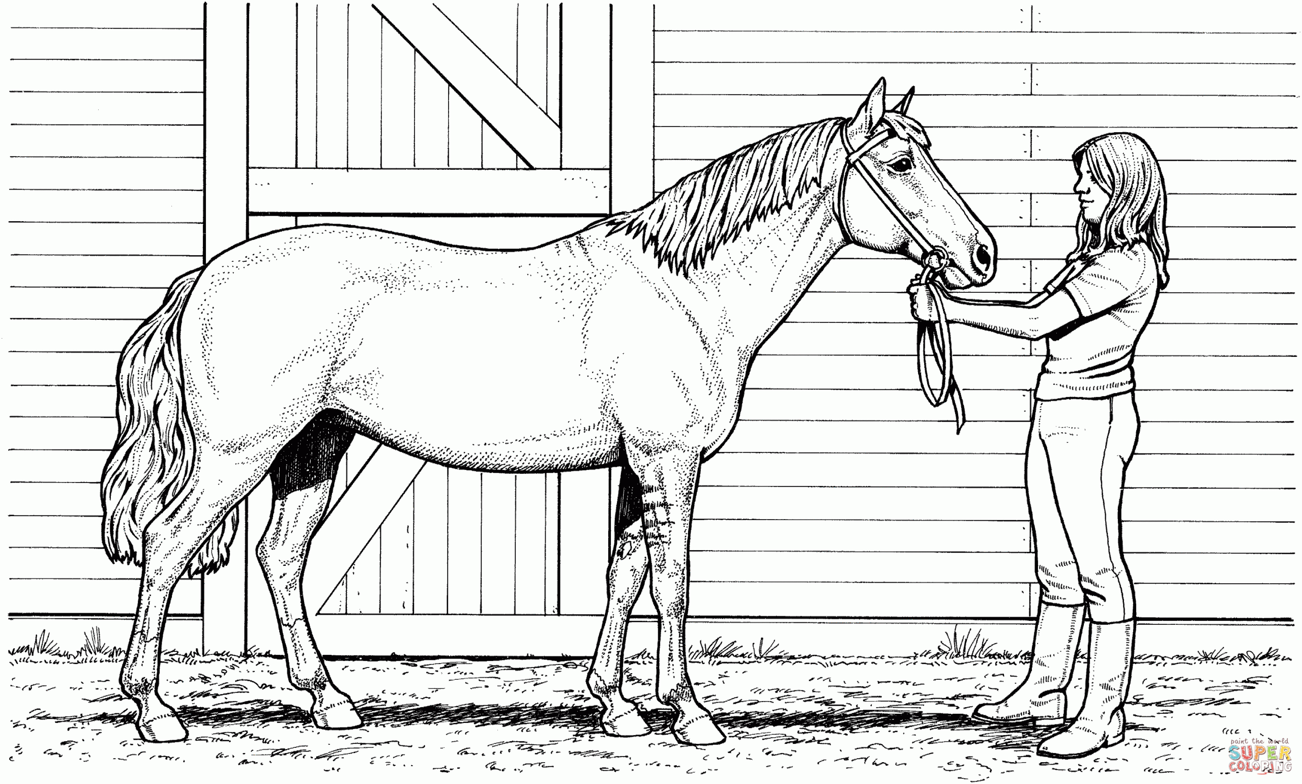 horse coloring sheets to print