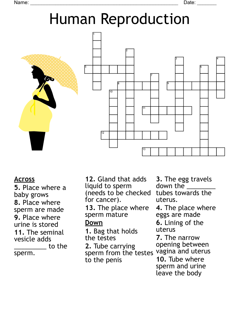 Workers In The Vineyard Crossword WordMint